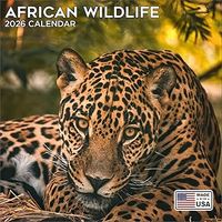 African Wildlife 2026 Calendar