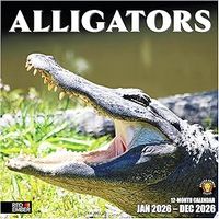 Alligators 2026 Calendar