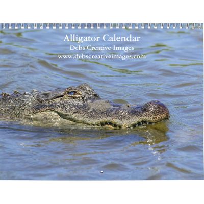 Alligators 2027 Wall Calendar