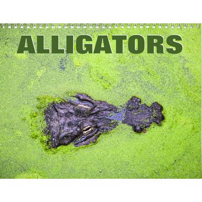 Alligators 2027 Wall Calendar