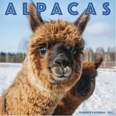 Alpacas 2027 Wall Calendar