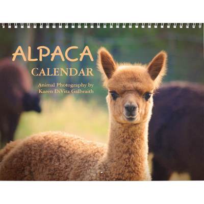 Alpacas 2027 Wall Calendar