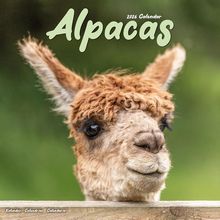 Alpacas 2026 Wall Calendar