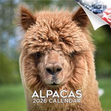 Alpacas 2026 Wall Calendar