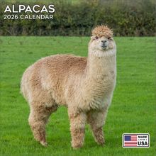 Alpacas 2026 Wall Calendar