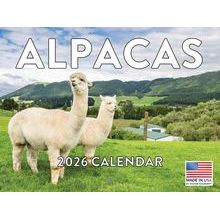Alpacas 2026 Wall Calendar