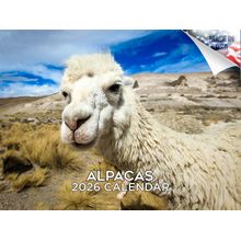 Alpacas 2026 Wall Calendar