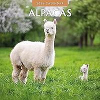 Alpacas 2026 Wall Calendar