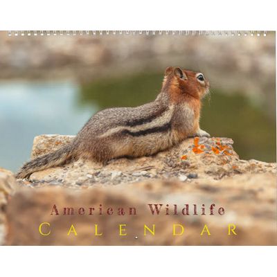 American Wildlife 2027 Wall Calendar