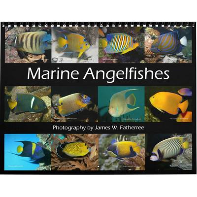 Marine Angelfishes 2027 Wall Calendar
