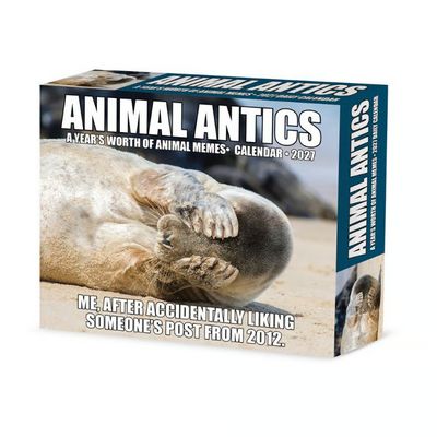 Animal Antics 2027 Desk Calendar