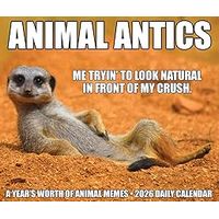 Animal Antics 2026 Box Calendar