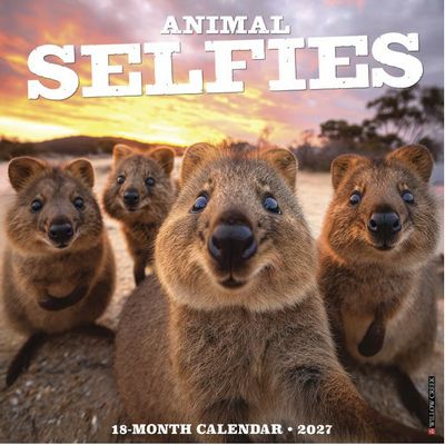 Animal Selfies 2027 Wall Calendar
