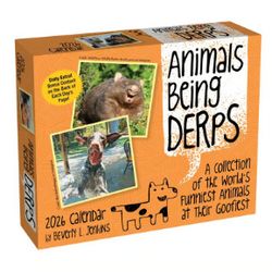 Animals Being Derps 2026 Desk Calendar