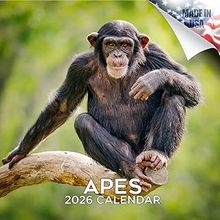 Apes 2026 Calendar