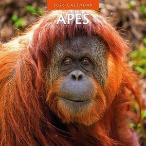 Apes 2026 Calendar