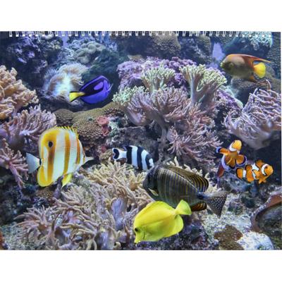 Aquariums 2027 Calendar