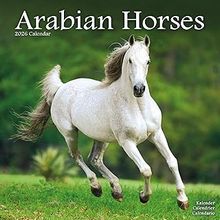 Arabians 2026 Calendar