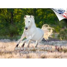 Arabians 2026 Wall Calendar