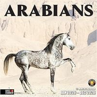 Arabians 2026 Wall Calendar