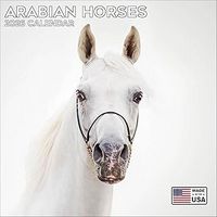 Arabians 2026 Wall Calendar