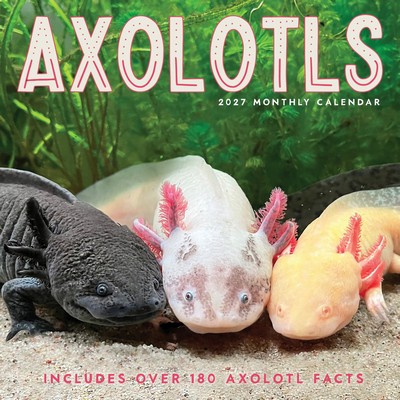 Axolotls 2027 Wall Calendar
