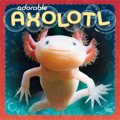 Axolotls 2027 Wall Calendar