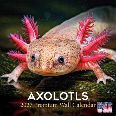 Axolotls 2027 Wall Calendar