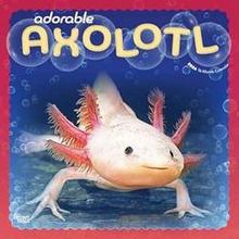 Adorable Axolotl 2026 Calendar