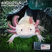 Axolotls 2026 Wall Calendar