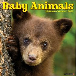 2026 Baby Animals Calendar