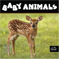 Baby Animals 2026 Wall Calendar