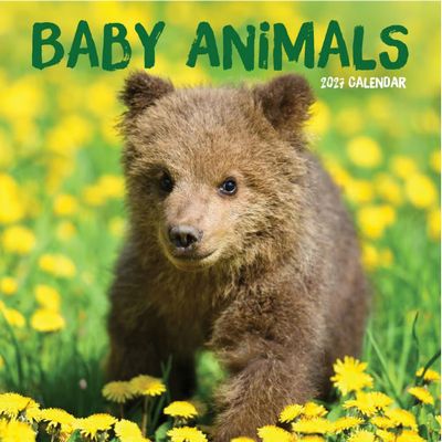 Baby Animals 2027 Calendar