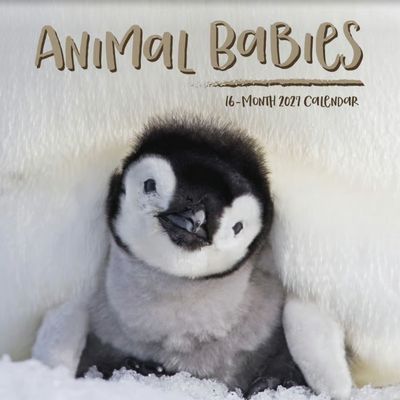 Baby Animals 2027 Calendar