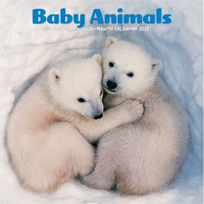 Baby Animals 2027 Mini Wall Calendar