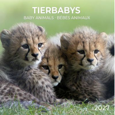 Baby Animals 2027 Wall Calendar