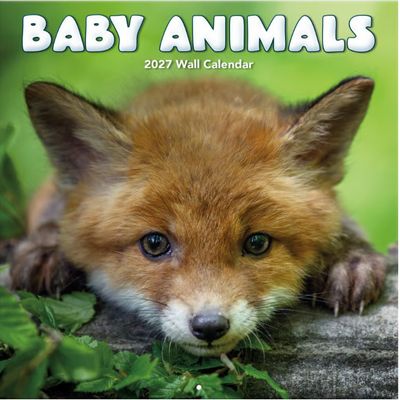 Baby Animals Photo 2027 Wall Calendar