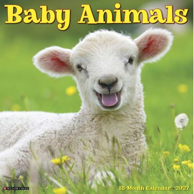 Baby Farm Animals 2027 Wall Calendar