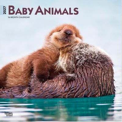Baby Animals 2027 Calendar