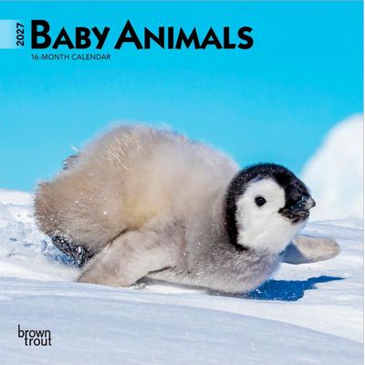 Baby Animals 2027 Calendar