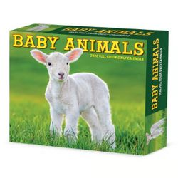 Baby Animals 2026 Desk Calendar