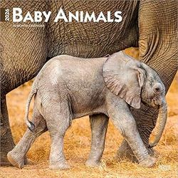 Baby Animals 2026 Calendar