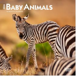 Baby Animals 2026 Calendar