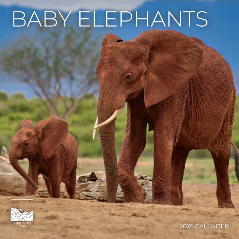 Baby Elephants 2026 Wall Calendar