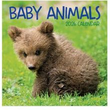 Baby Animals 2026 Calendar
