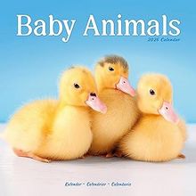Animal Friendship 2026 Calendar