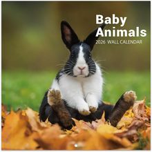 Baby Animals 2026 Calendar