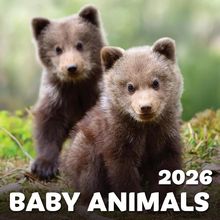 Baby Animals 2026 Calendar