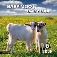 Baby Animals 2026 Calendar