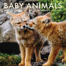 Baby Animals 2026 Calendar